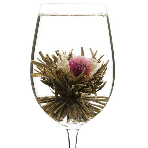 1000 DAY FLOWER